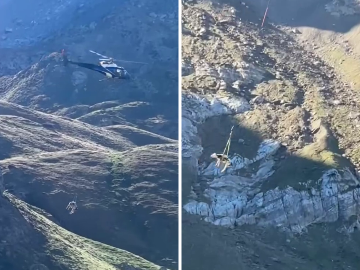 Una mucca in volo sotto un elicottero: il salvataggio è virale