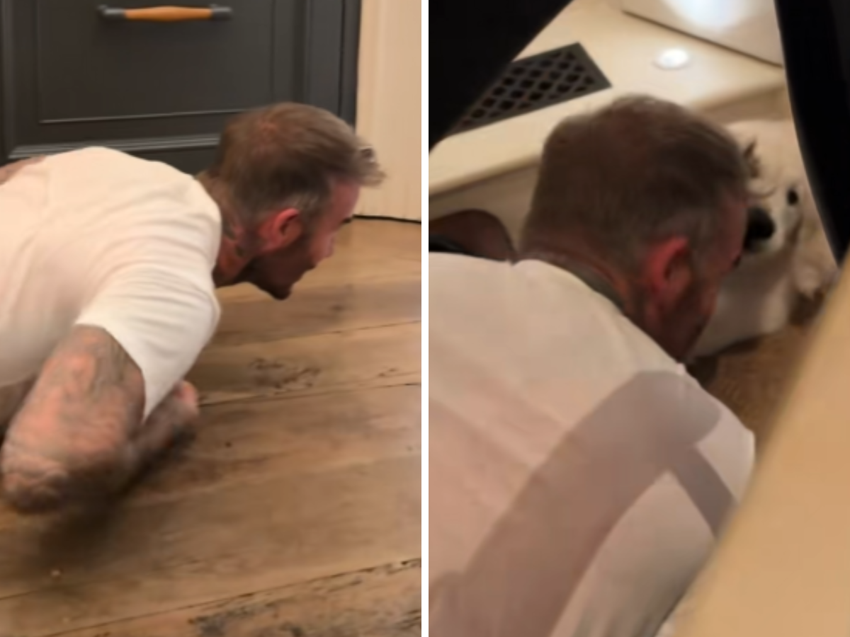 David Beckham, la reazione alla nuova cagnolina del figlio Cruz