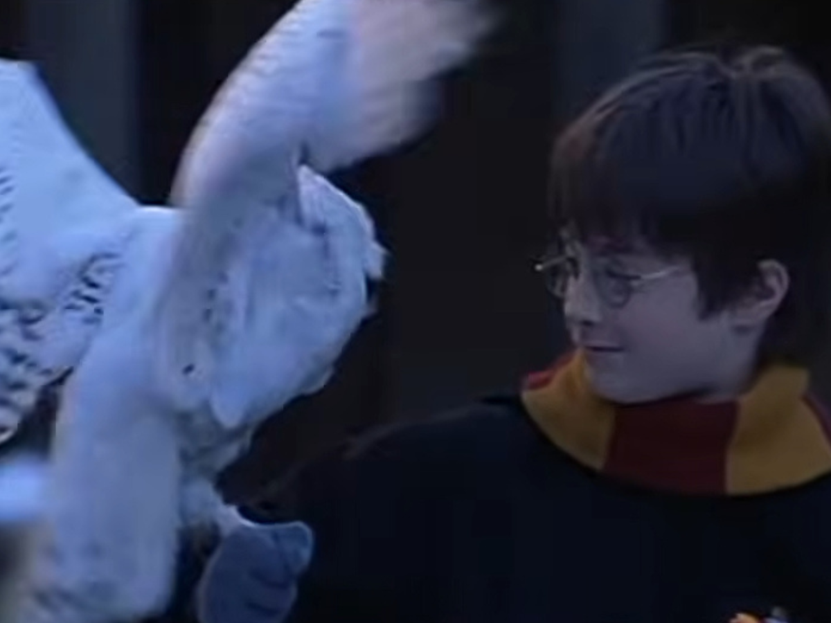 Harry Potter, asta da 400mila dollari per una rara copia di un libro