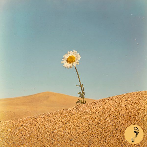 Some Kind Of High (feat. Portugal. The Man)