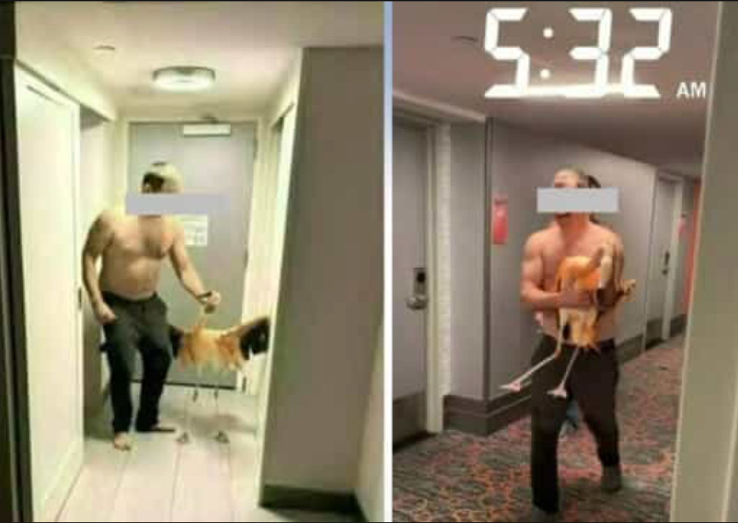 Turista ubriaco si porta un fenicottero in hotel, ora rischia 4 anni di carcere