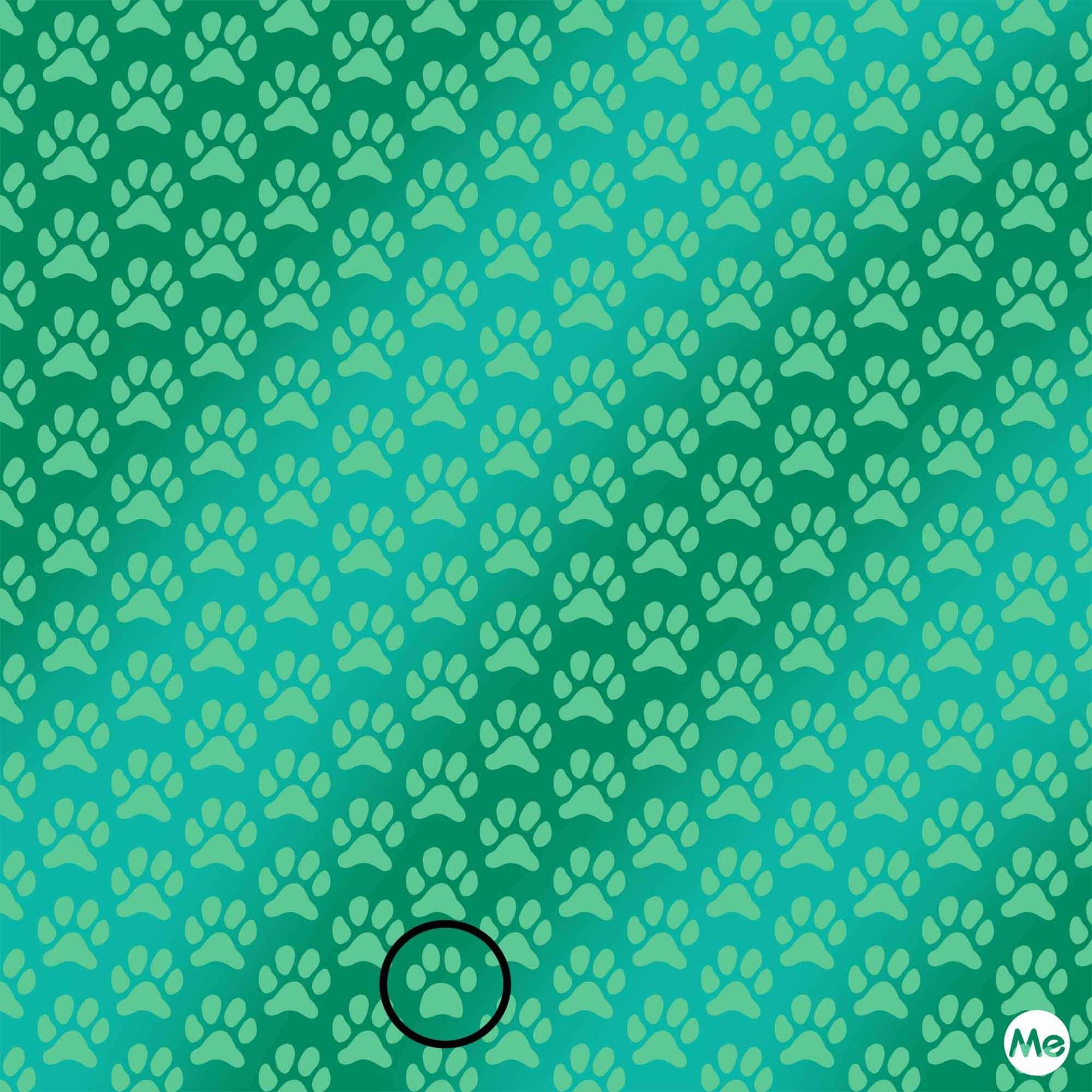 La foto è di Greenme.it