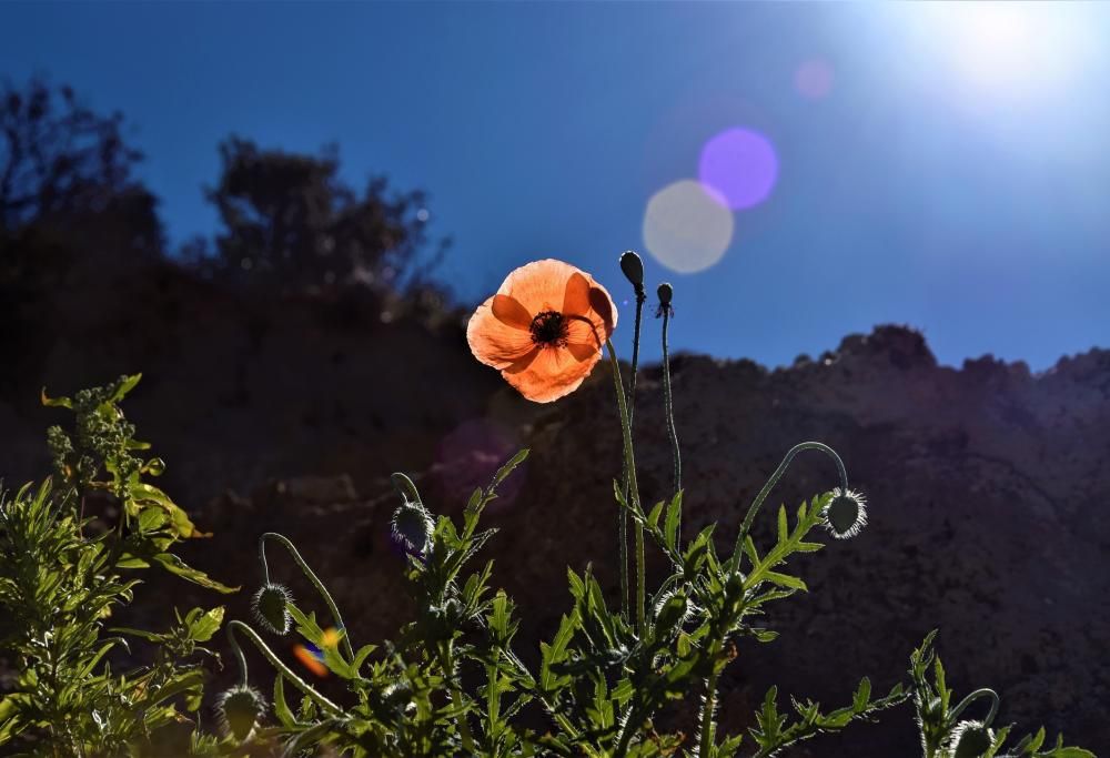 2026: tutte le bellissime lune piene del nuovo anno