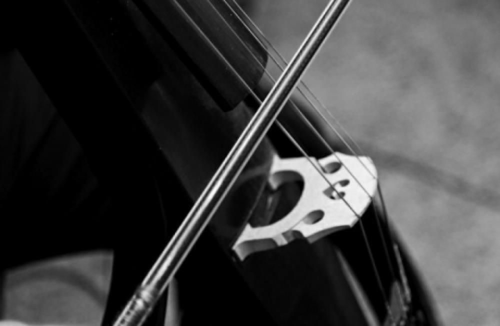 0074jpg--2cellos