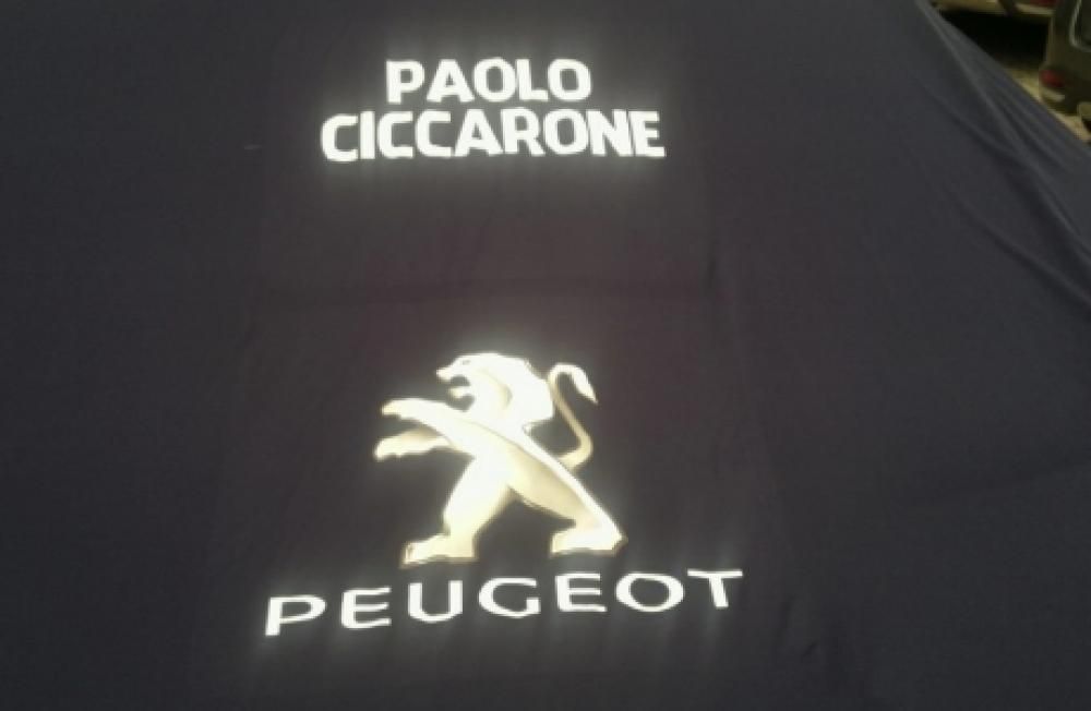04102012039jpg--peugeot_208