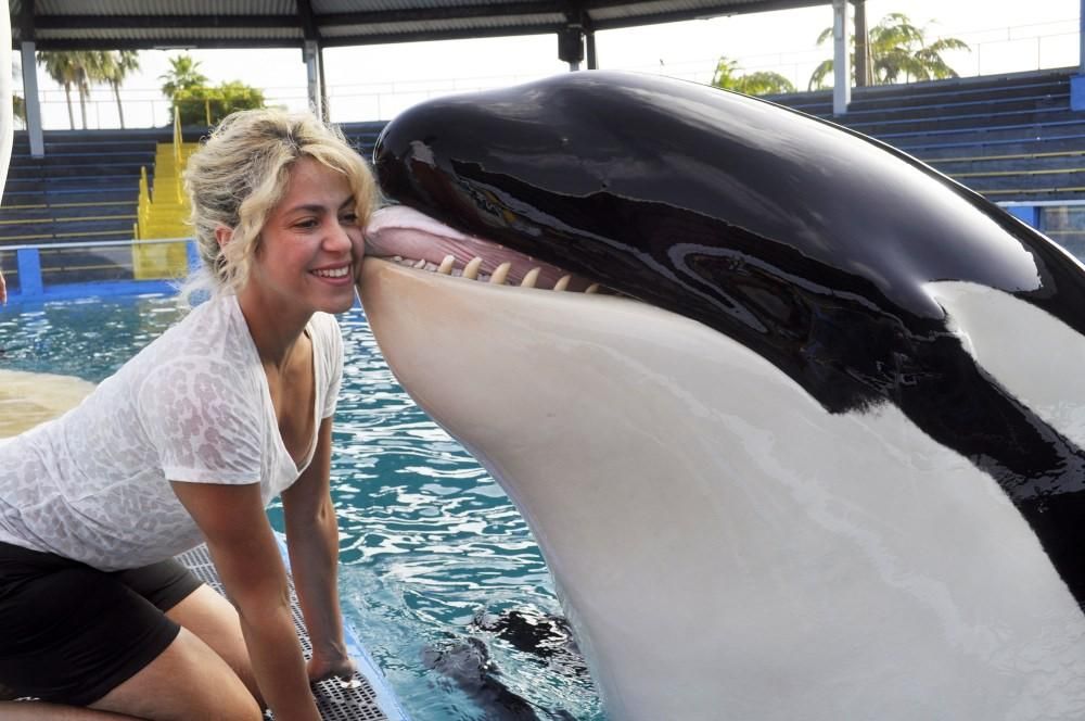 17jpg--shakira