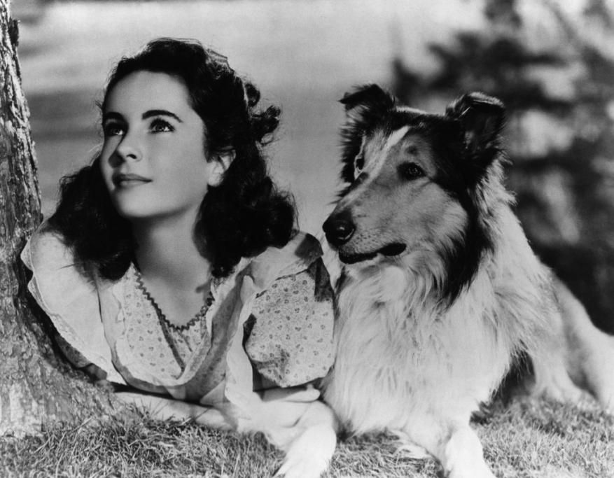 1424967404298jpg--omaggio_a_elizabeth_taylor