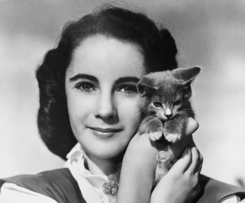 1424967666364_1424967675jpg--omaggio_a_elizabeth_taylor