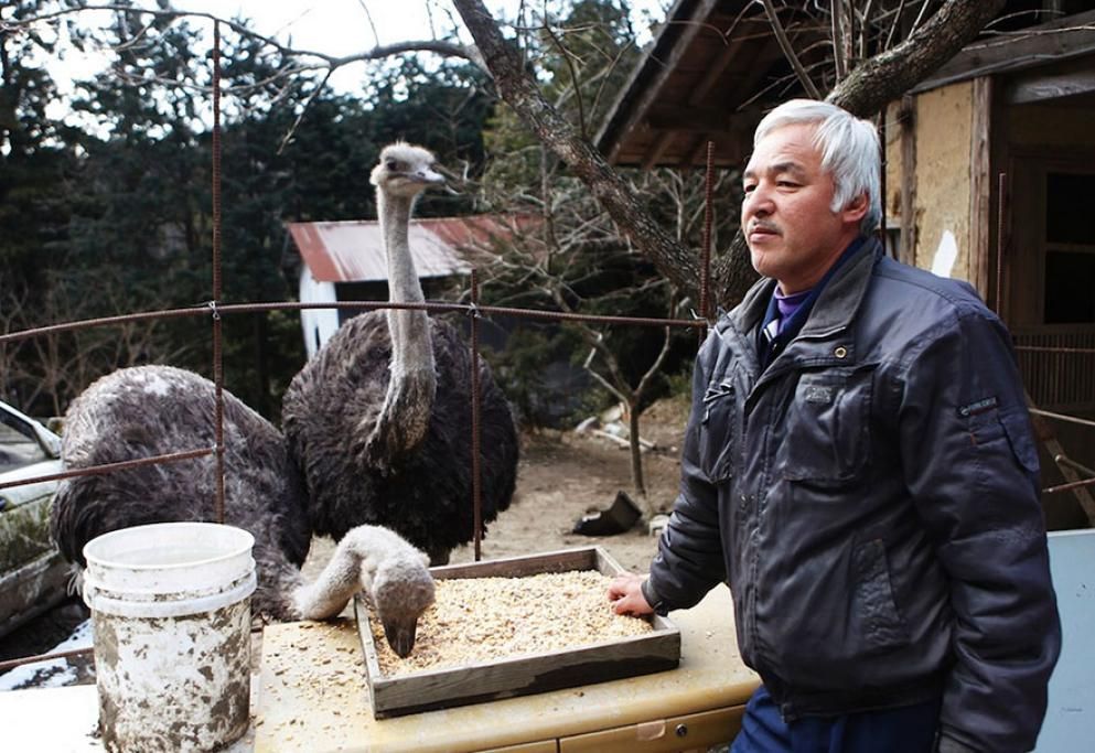1427126820314jpg--naoto_matsumura_