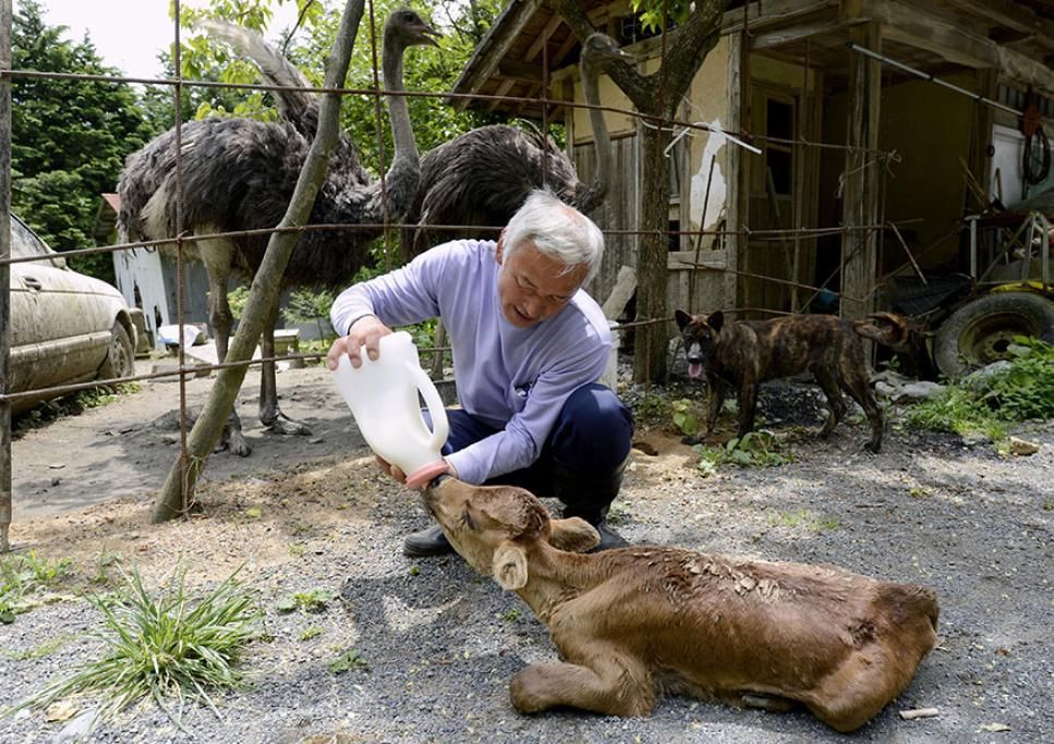 1427126834414jpg--naoto_matsumura_