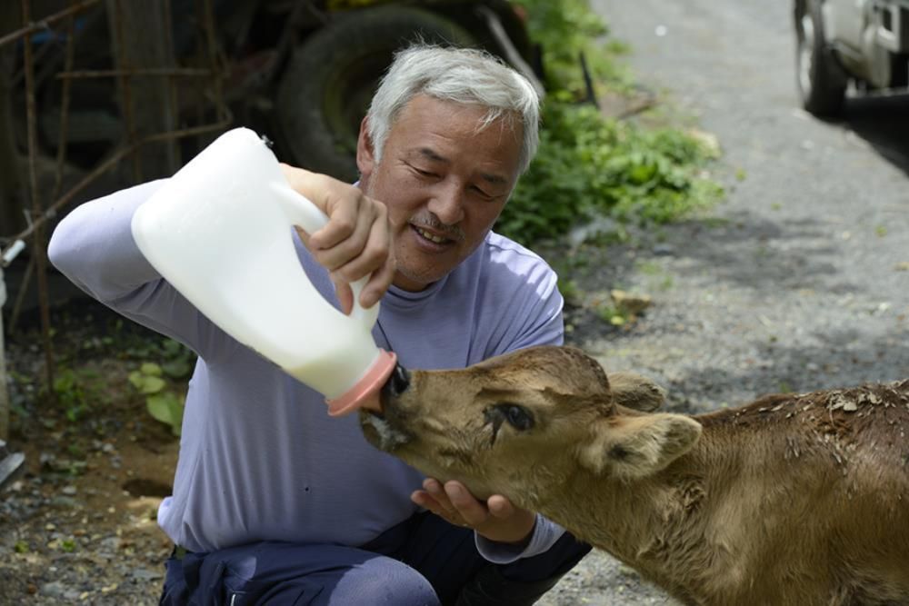 1427126830680jpg--naoto_matsumura_