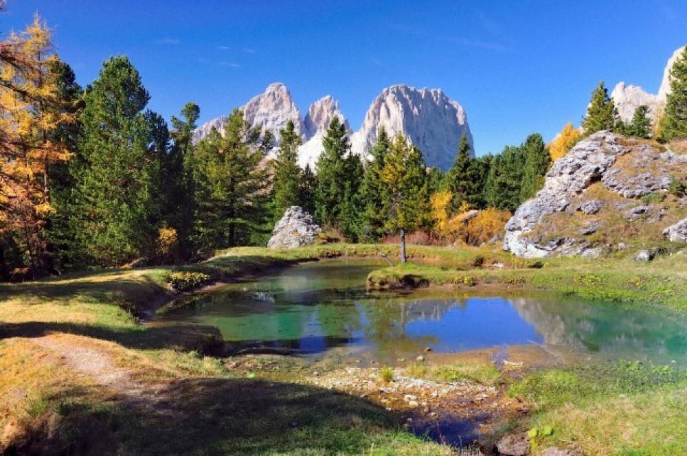 1434533541122jpeg--dolomiti__val_gardena