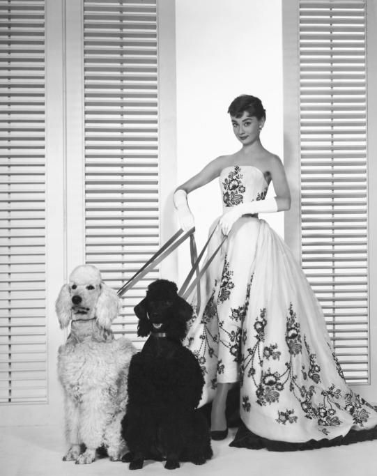1430731329765jpg--audrey_hepburn