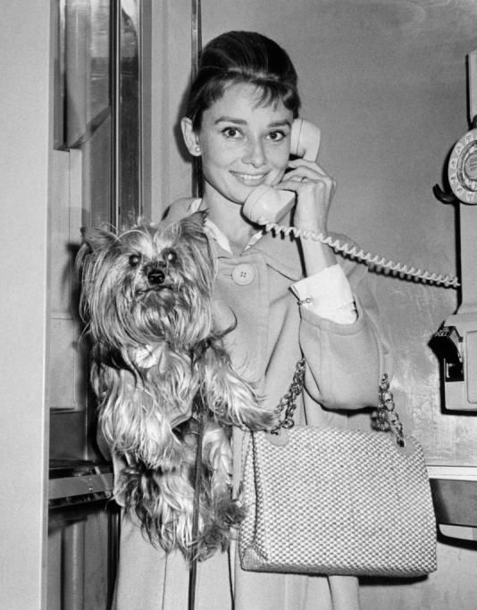 1430731376829jpg--audrey_hepburn