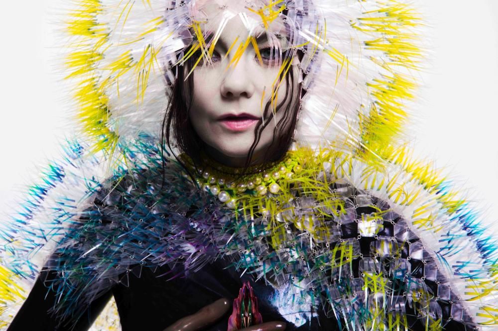 1431007181848jpg--bjork