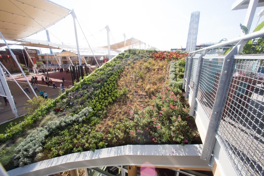 1433845466739jpg--antonio_bertolotto_fondatore_del_marcopolo_enviromental_group__il_concetto_del_tetto_vegetale