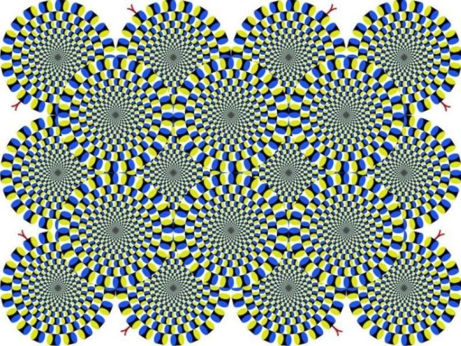 1444224184055jpg--