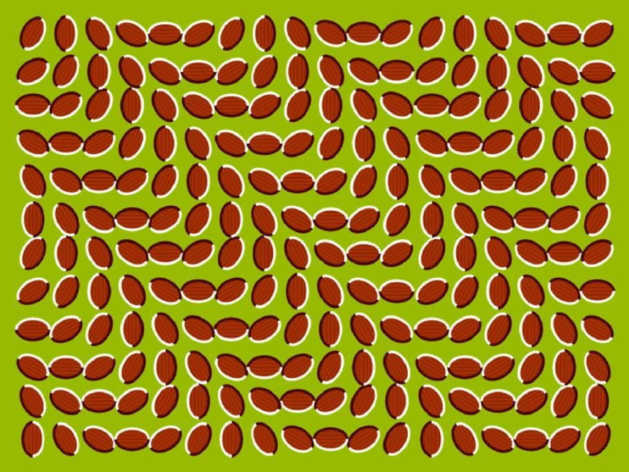 1444224724646jpg--