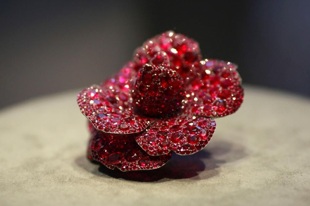 1445424193725jpg--la_camelia_rossa