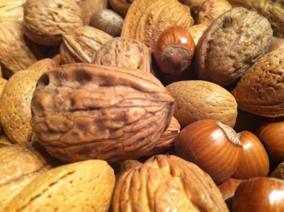 1446825283834jpg--frutta_secca