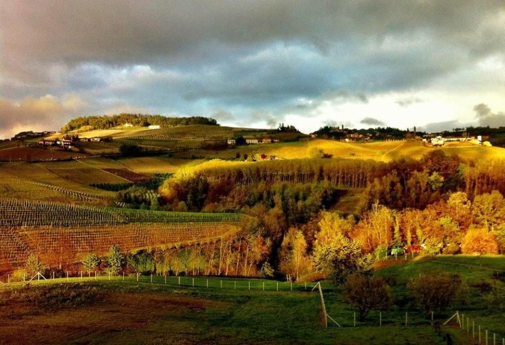 Autunno in Langa