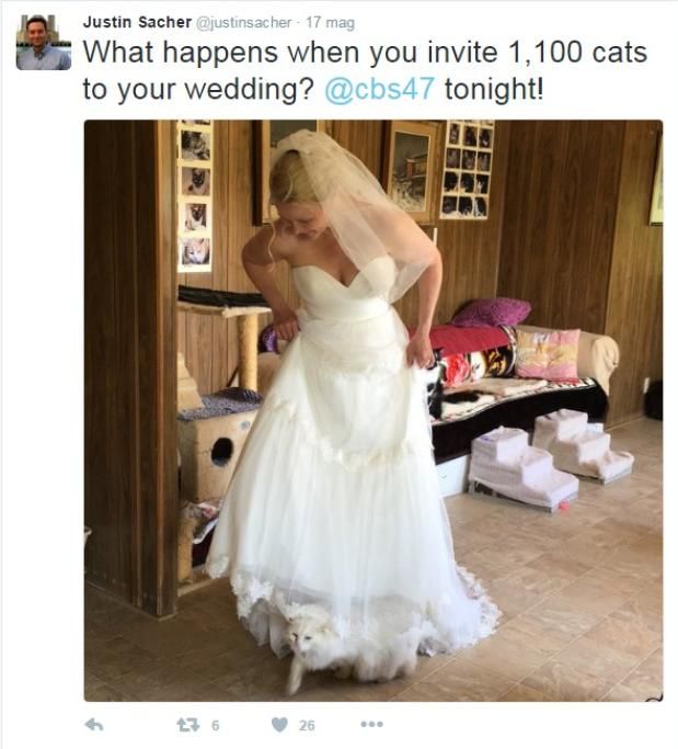 1464017875925jpg--