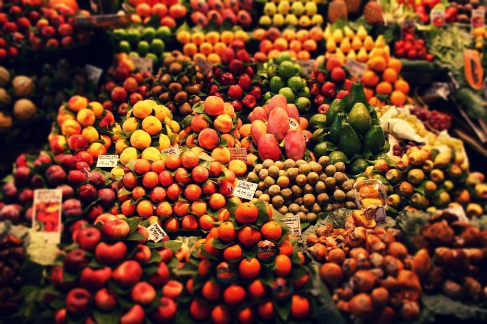 1464364171316jpg--7___ogm__e__biologico__sono_due_mondi_inconciliabili