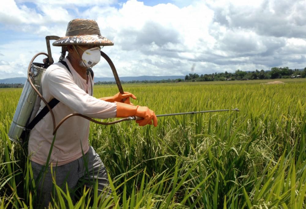 7 falsi miti sul cibo biologico