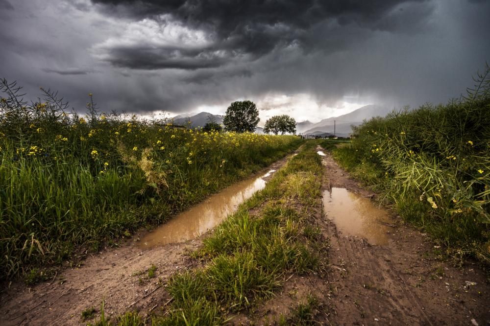 1464363280602jpg--2__coltivare_cibo_biologico_e_la_scelta_giusta_per_l_ambiente