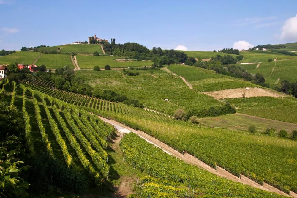 1464785347011jpg--16__le_langhe__piemonte