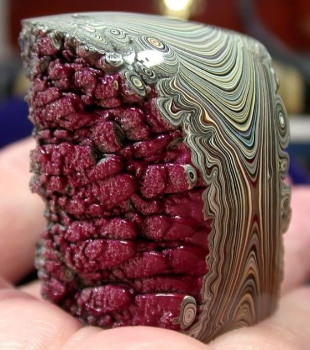 1464788005518jpg--vernice_per_automobili_solidificata
