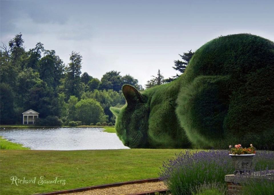 1465208145999jpg--topiary_cat_a_l_barn__beaconsfield__da_facebook_