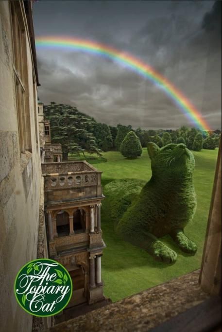 1465208158065jpg--topiary_cat_sotto_al_rainbow_bridge__da_facebook_