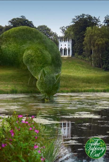 1465208151984jpg--topiary_cat_sul_lago_di_painshill_park_a_surrey__inghilterra__da_facebook_
