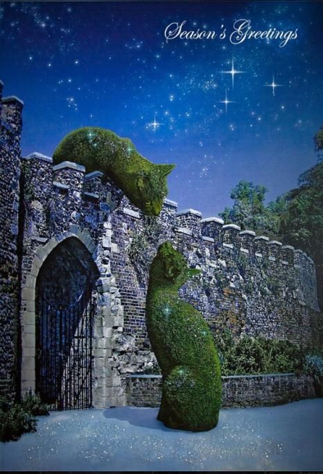 1465208153868jpg--topiary_cat_a_hertford_castle__inghilterra__da_facebook_