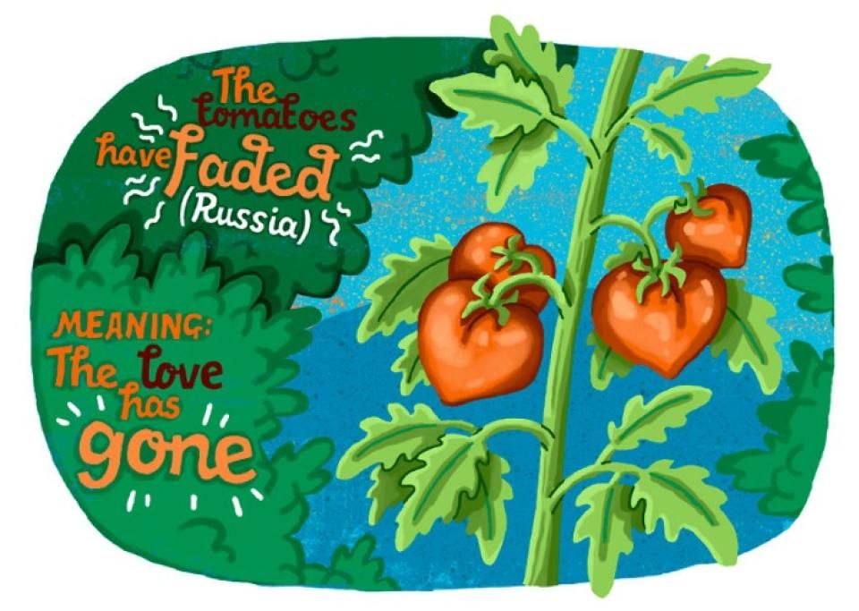 1465912309553jpg--_i_pomodori_sono_sbiaditi_