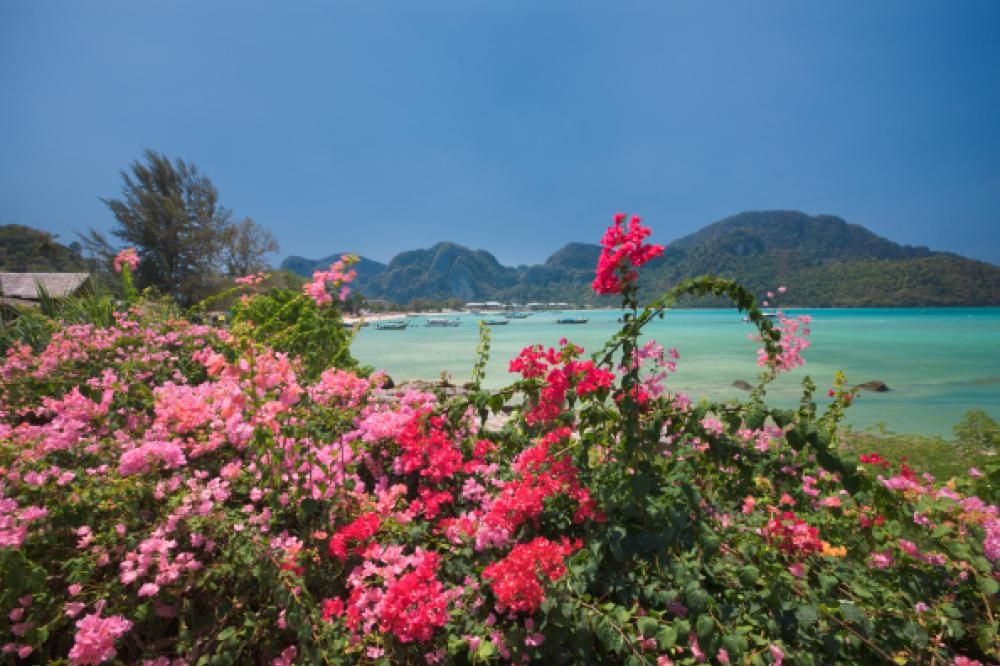 1466087384018jpg--phi_phi_island__thailandia