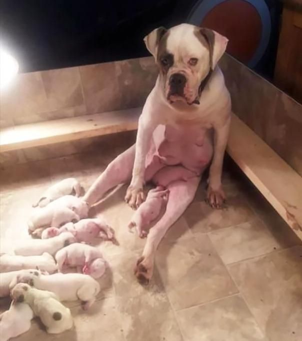 1466513824914jpg--l_inconfondibile_sguardo_da__prima_volta_mamma__
