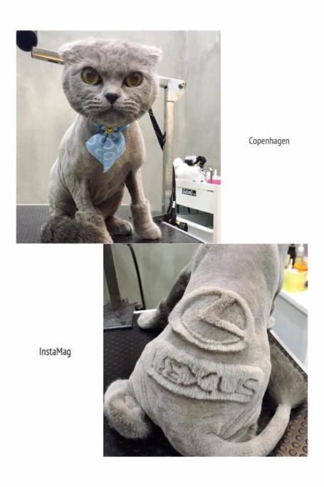 1467107761546jpg--il_gatto_con_il_marchio__lexus_