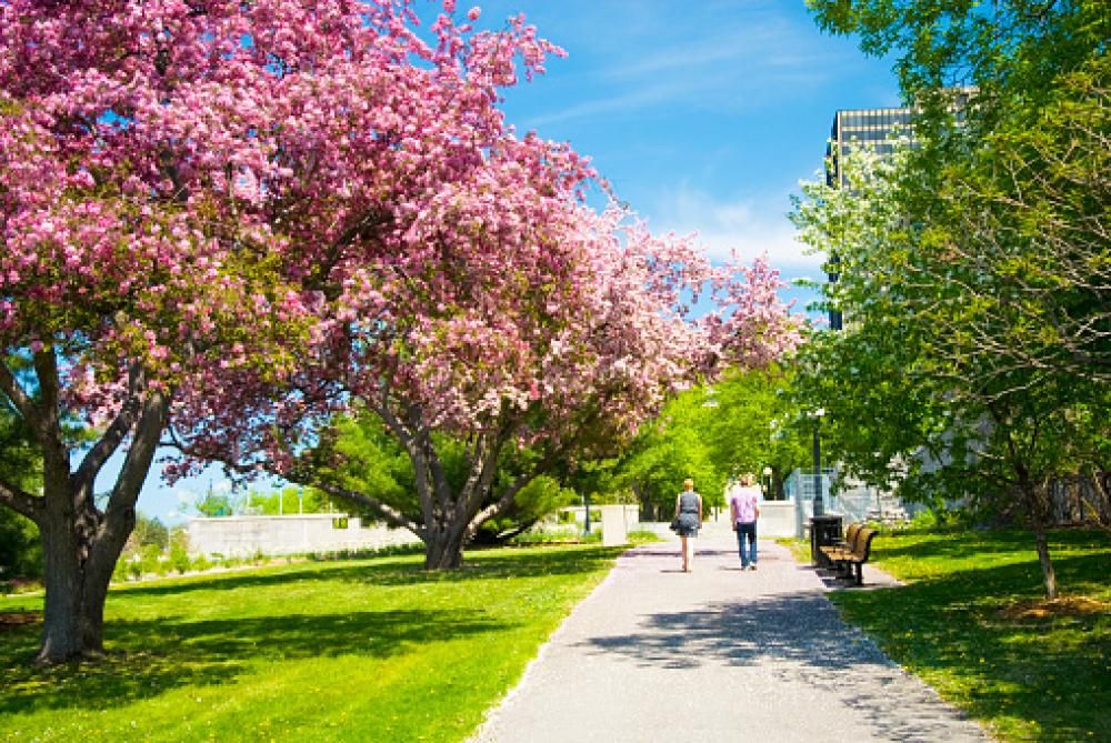 1467207574850jpg--6__ottawa__canada