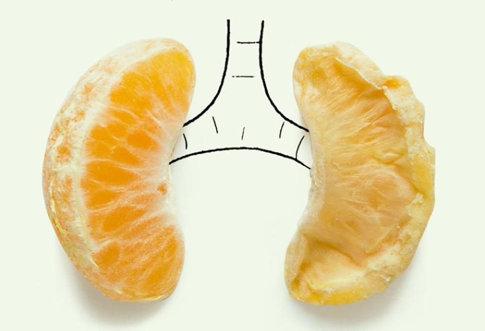 Queste illustrazioni cambieranno per sempre il tuo modo di vedere le piccole cose