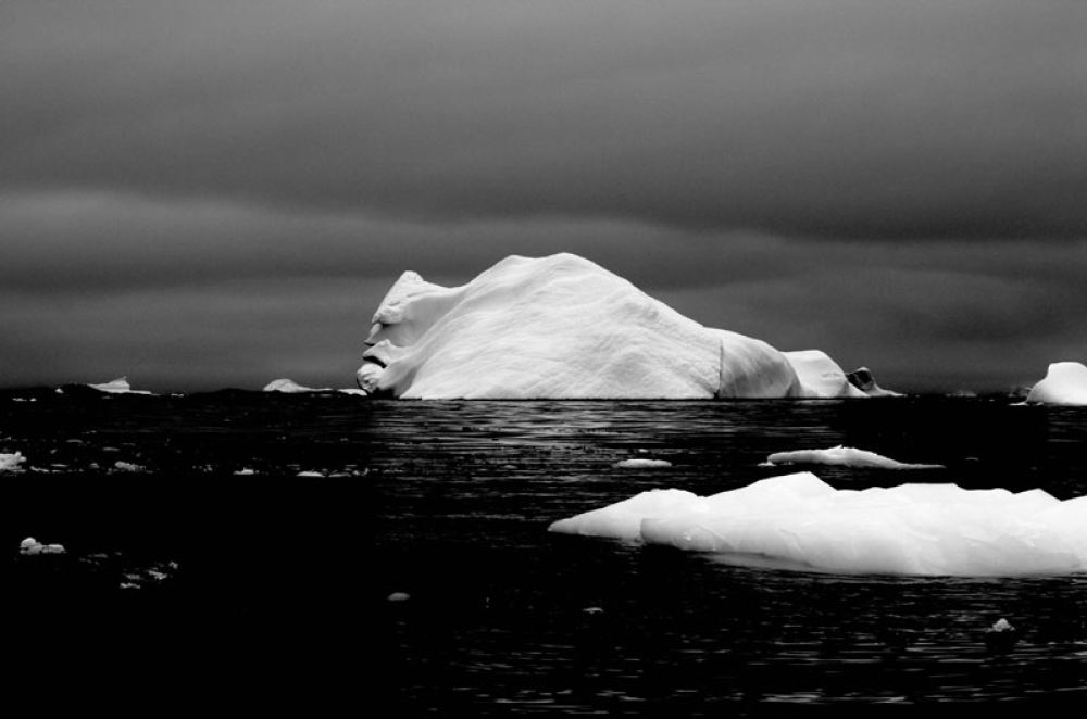 1469004066780png--il_volto_dell_ice_berg