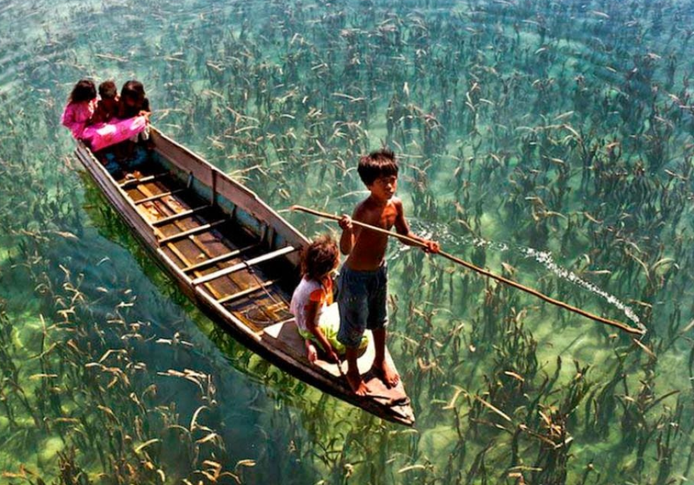 1469004077571png--un_lago_cristallino_a__sabah__malaysia