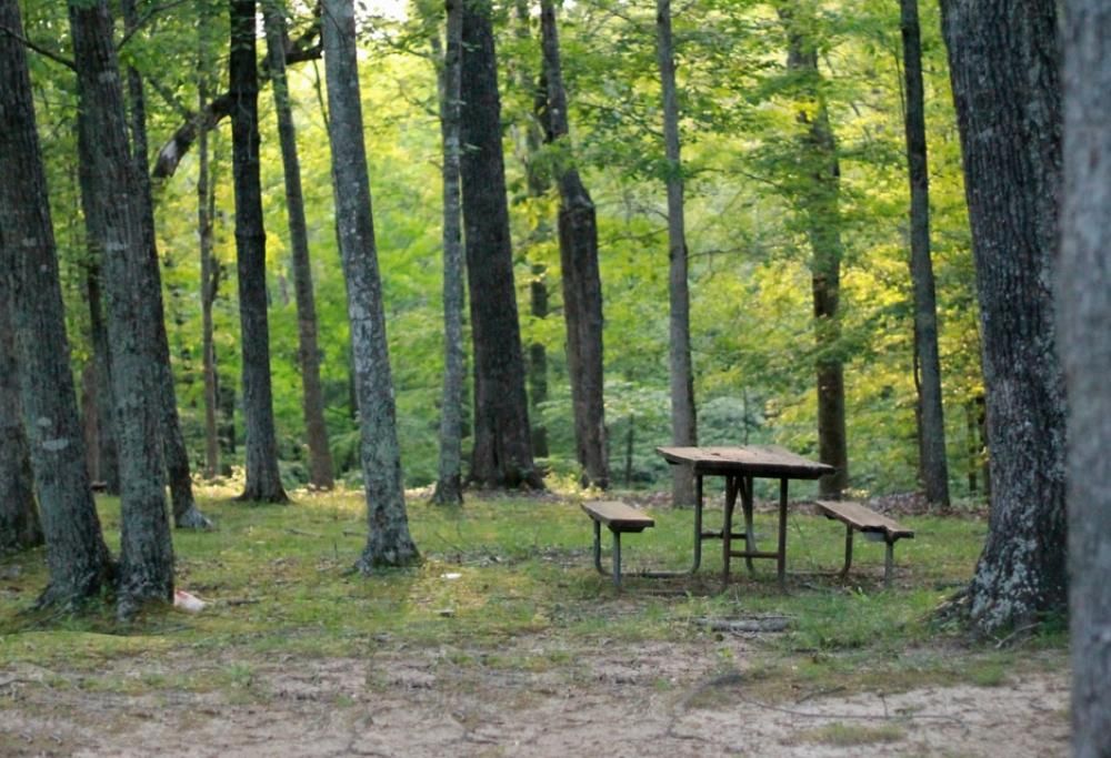5 segreti per un pic nic davvero chic