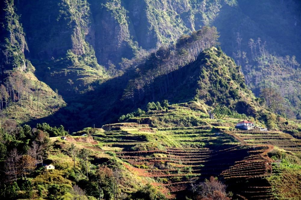 1461310812745jpg--3__madeira__isole_madeira