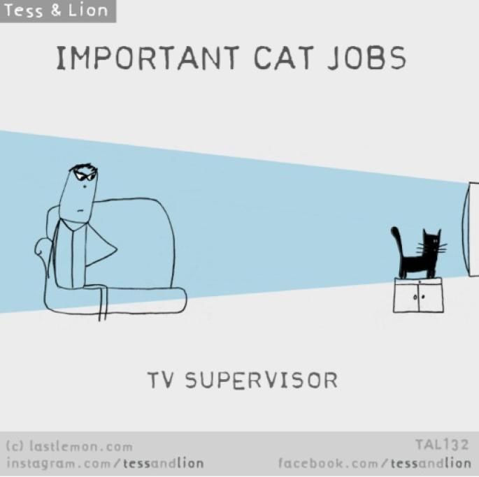 1461768505114jpg--10__supervisore_tv