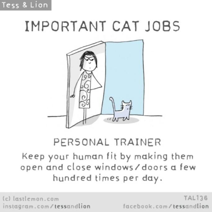 1461768508470jpg--5__personal_trainer