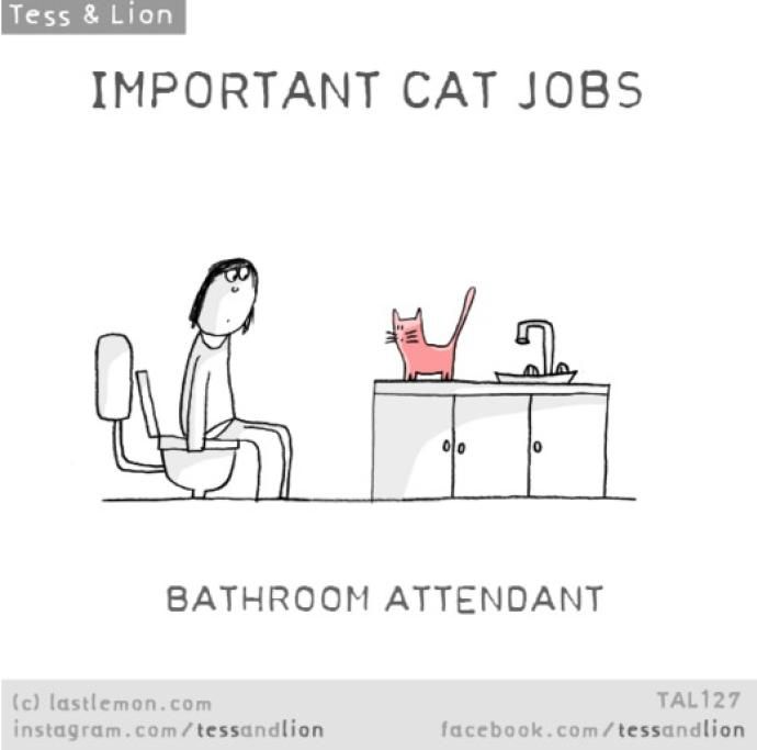 1461768501774jpg--2__assistente_al_bagno