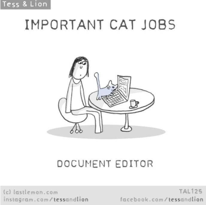 1461768534182jpg--19__document_editor