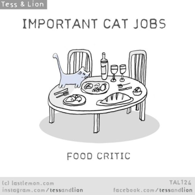 1461768532494jpg--18__tester_di_cibo